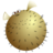 JoC