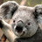 lbtmturk