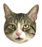 :bearnie: